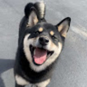 Meet your Posher, Kylie